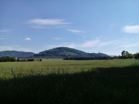 Závišice view 1