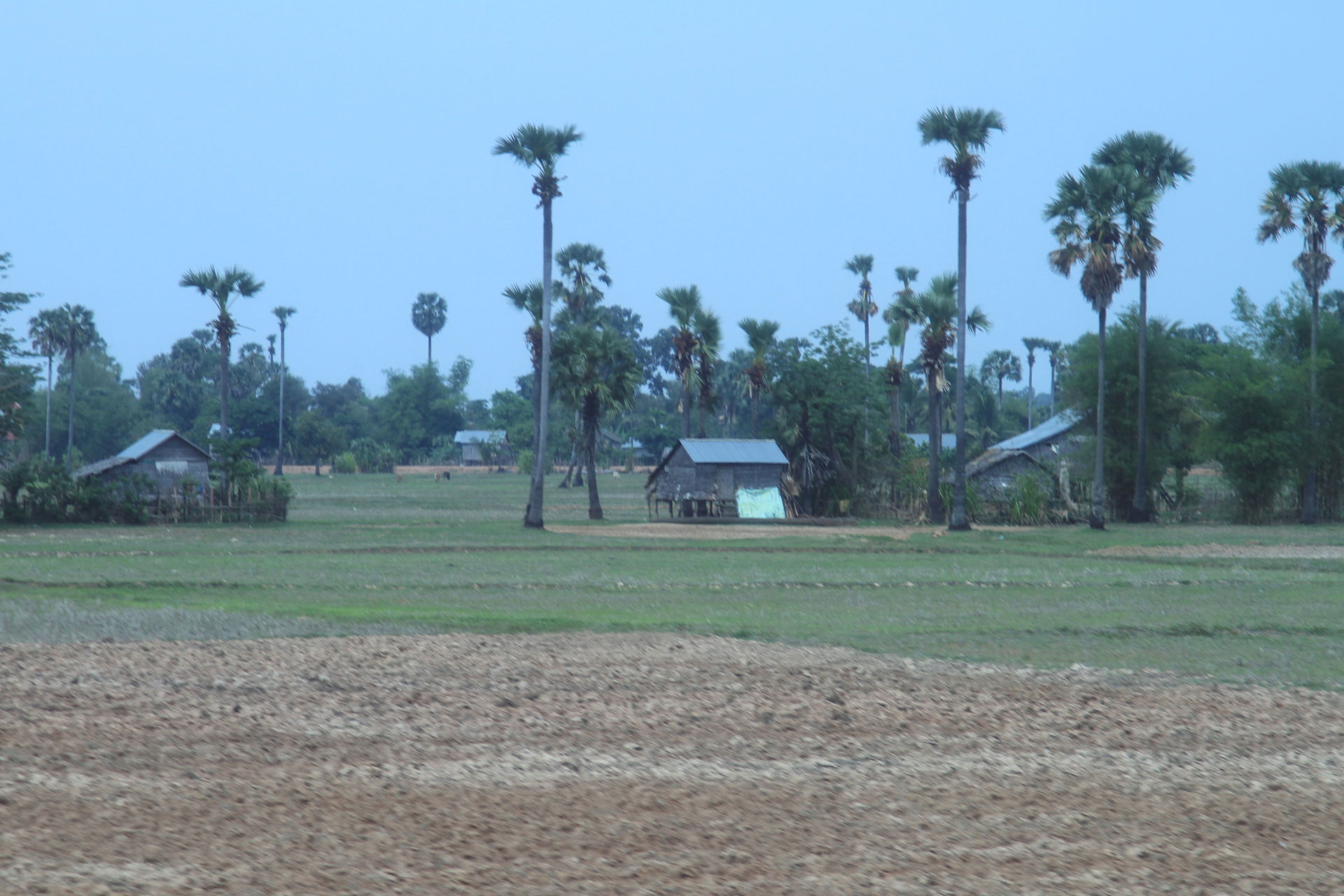 Stoung view 1
