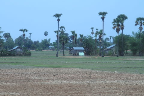 Stoung view 1