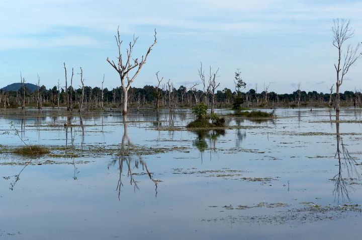 Baray district