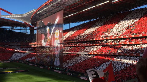 Benfica view 2