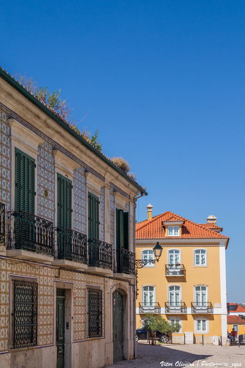 Lumiar view 3