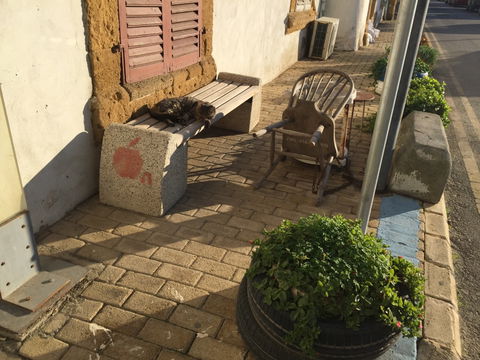 Arab Ahmet view 2