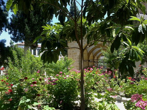 Arab Ahmet view 3