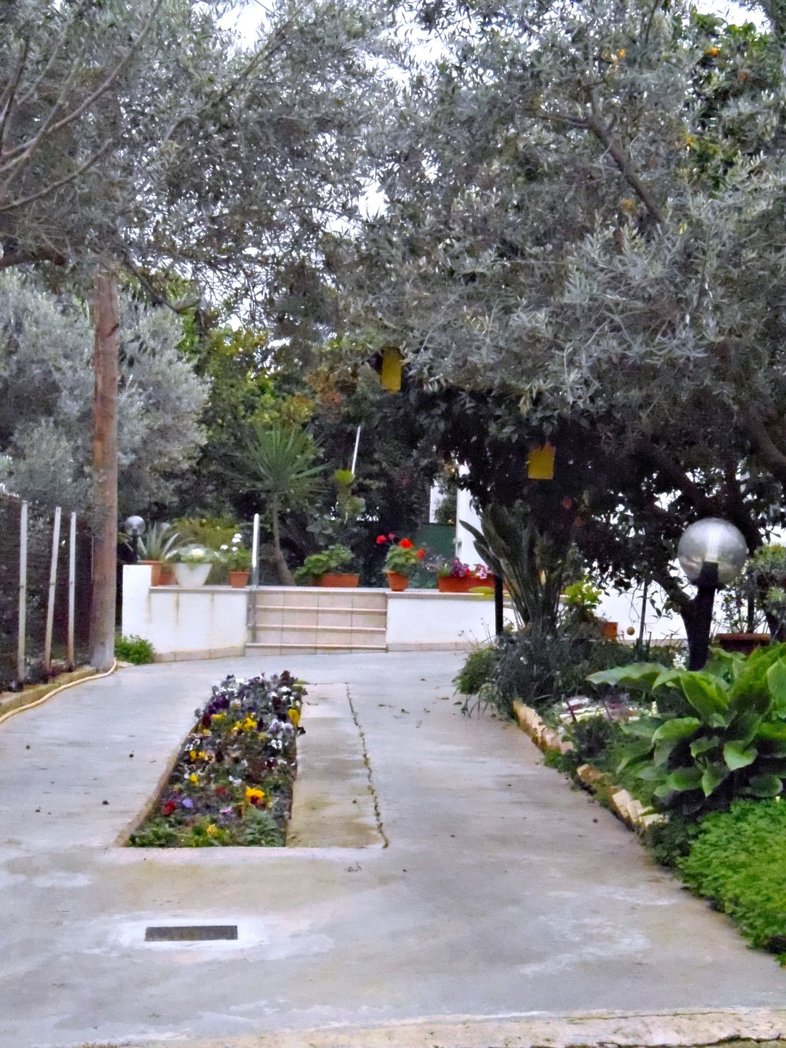 Strovolos view 1