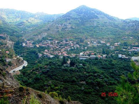 Alona view 1