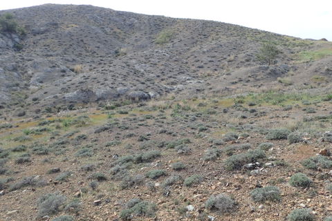 Analiontas view 1