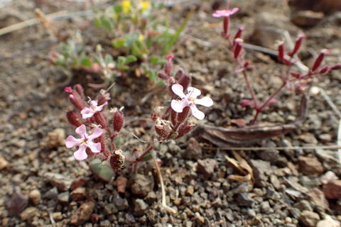 Analiontas view 3