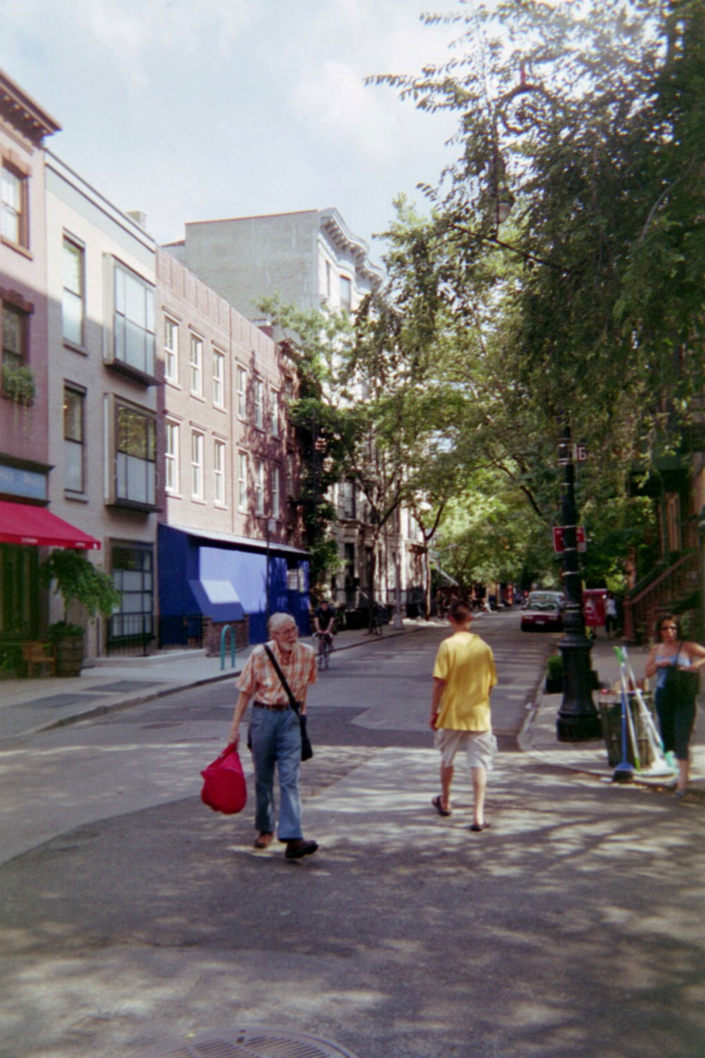 Greenwich Village view 5