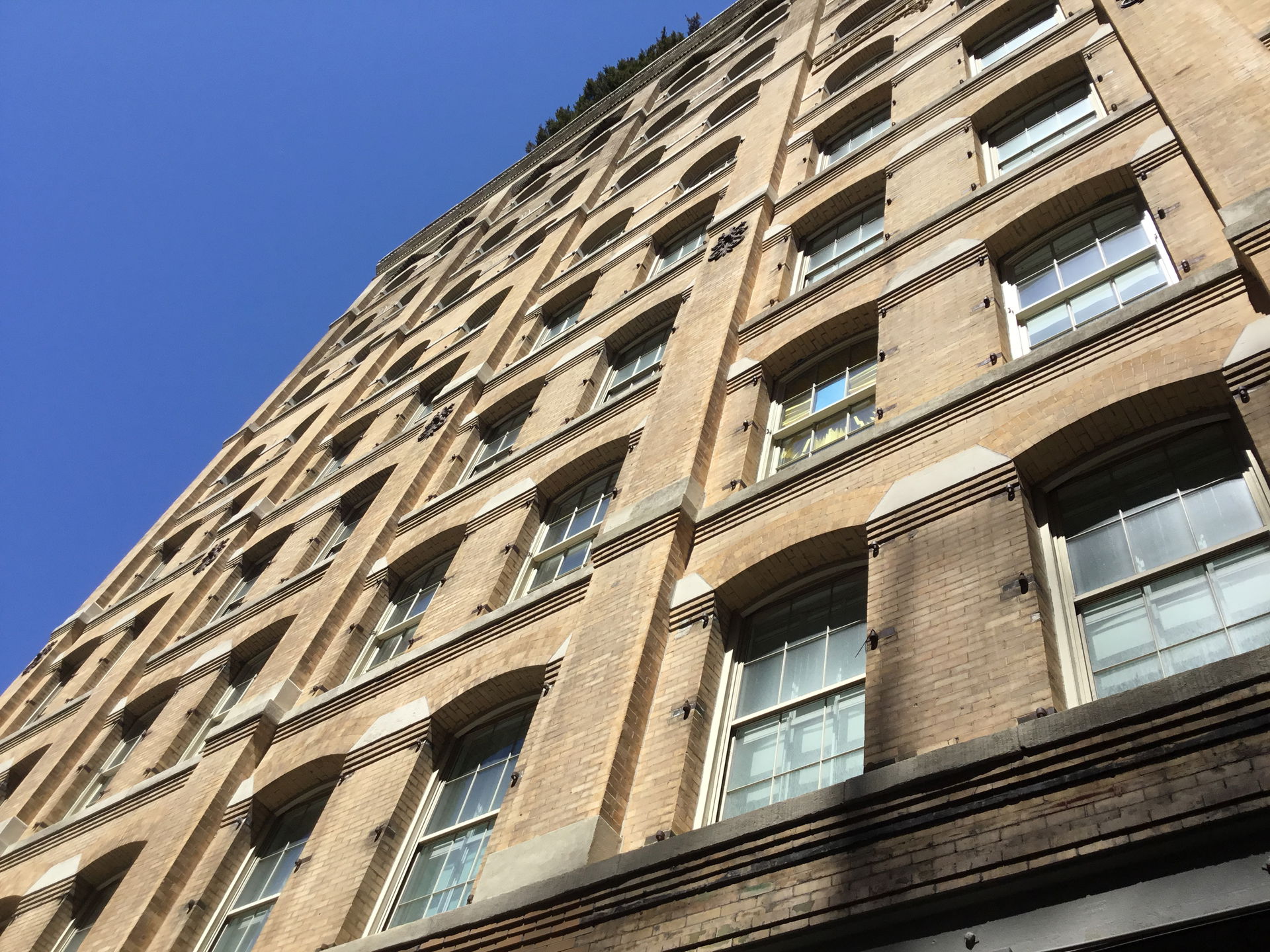 TriBeCa view 4