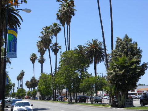 Reseda view 2