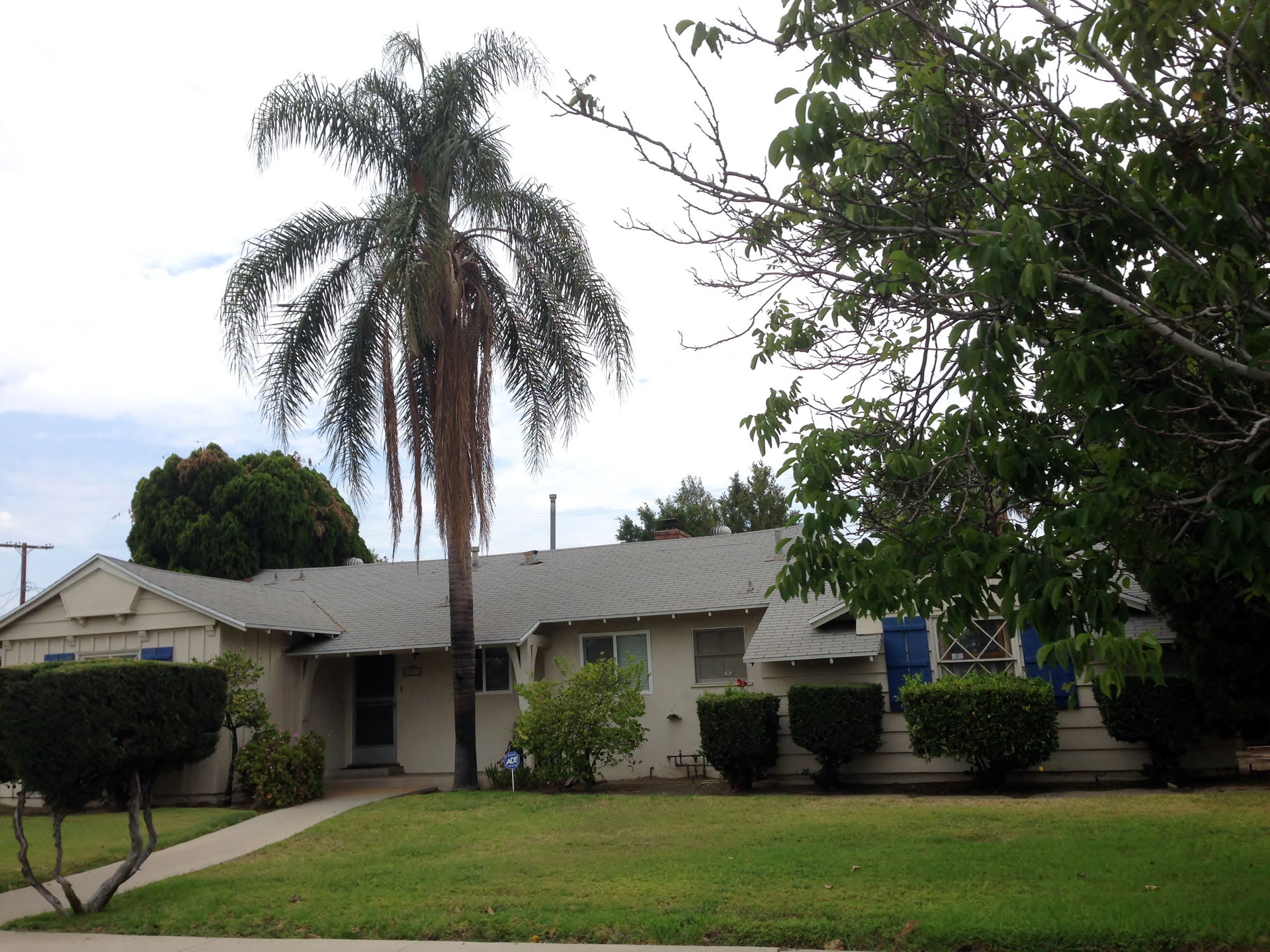 Northridge view 3