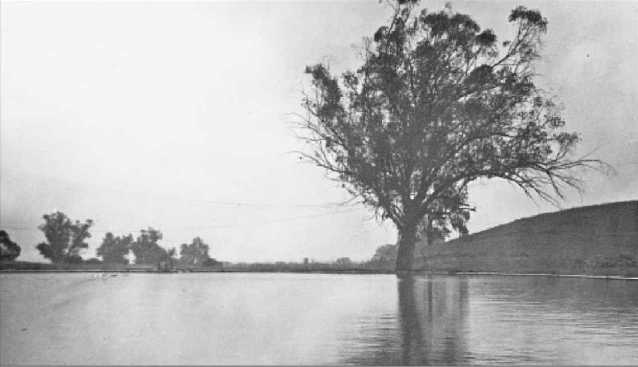 Encino district