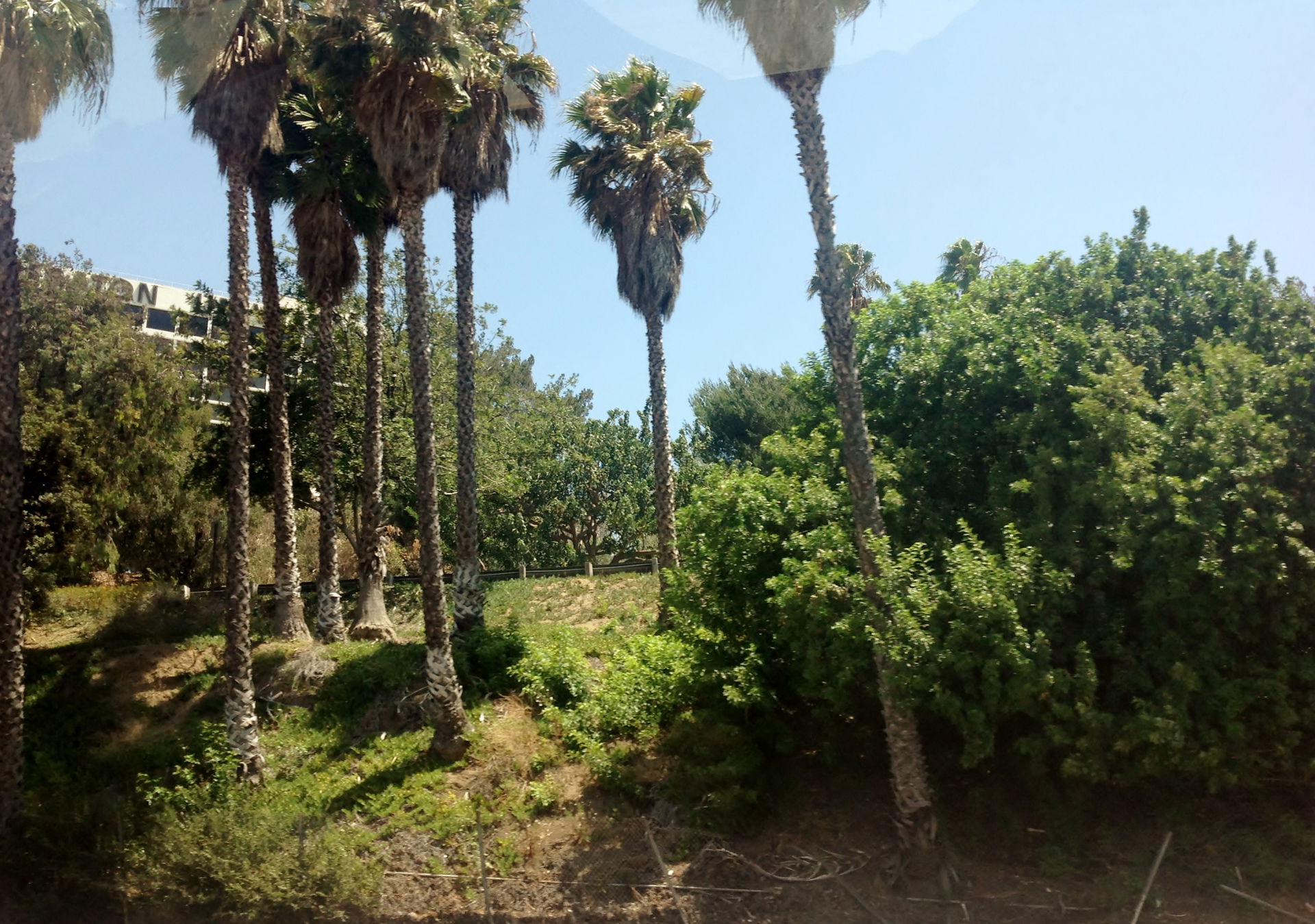 Studio City view 4