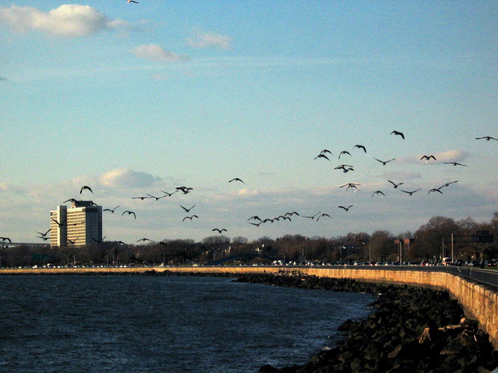 Bensonhurst view 2