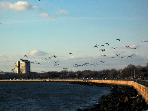 Bensonhurst view 2