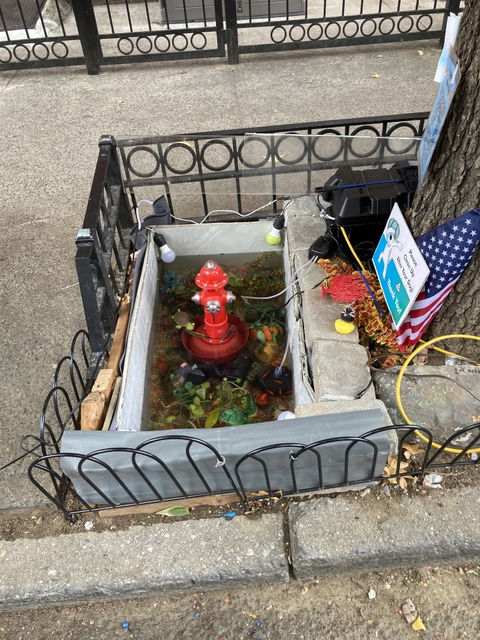 Bedford-Stuyvesant view 2