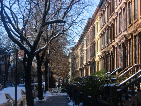 Bedford-Stuyvesant view 3