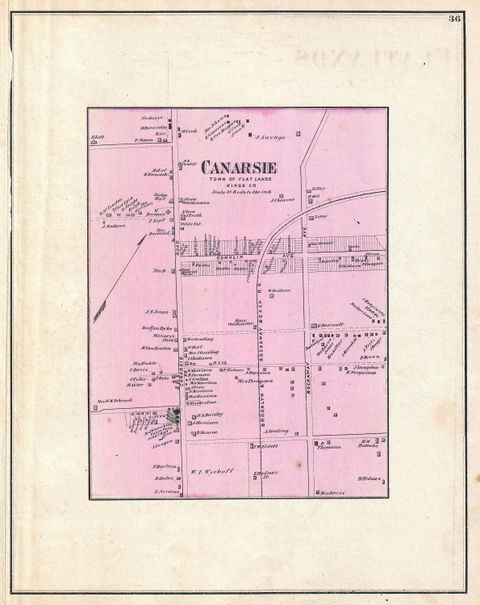 Canarsie view 1