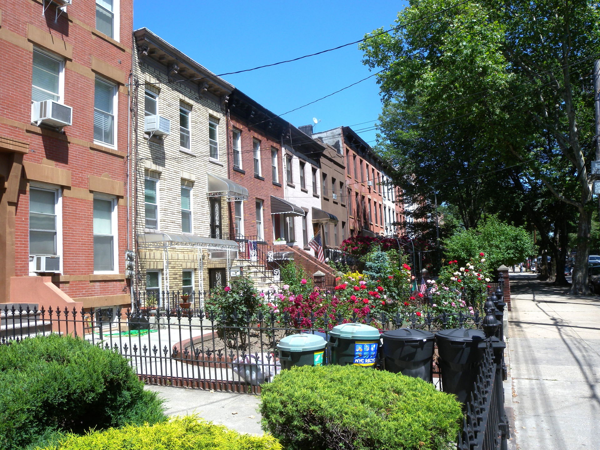 Carroll Gardens view 2