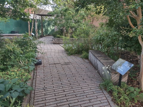Carroll Gardens view 3