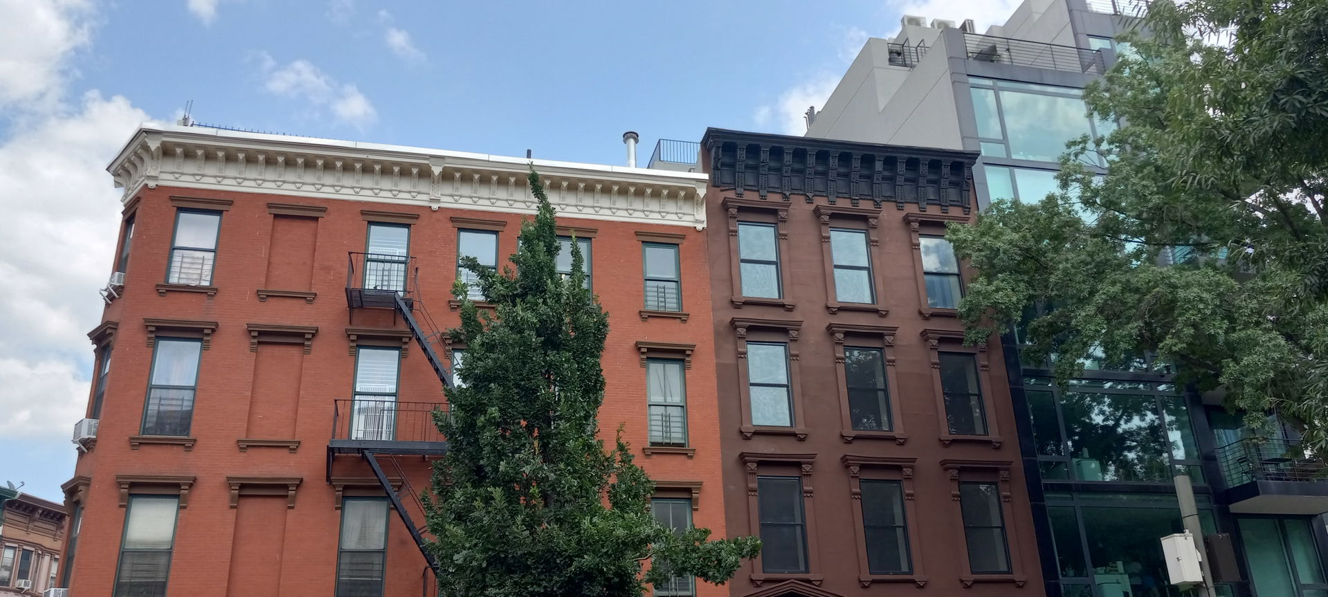 Clinton Hill view 4