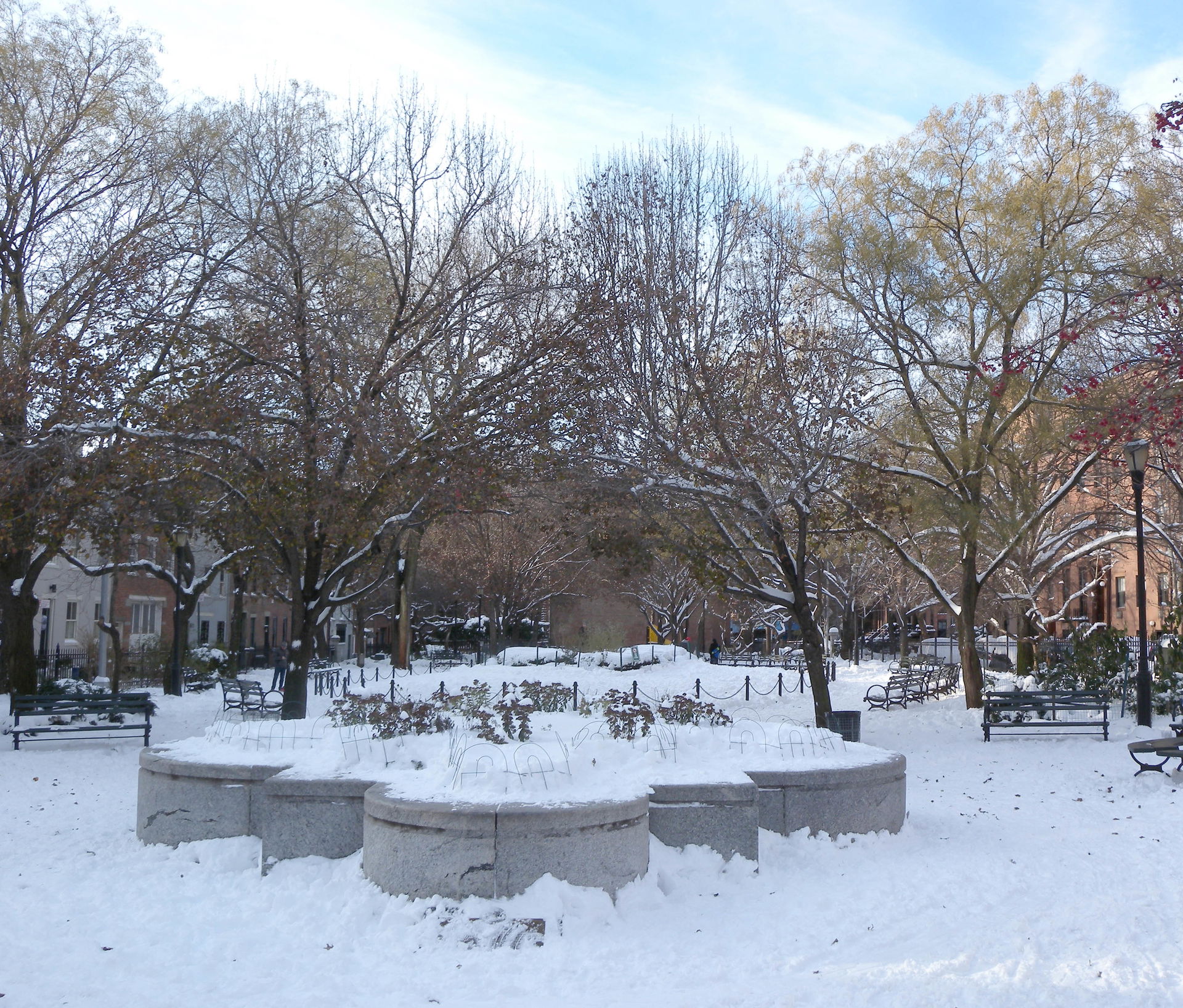Cobble Hill view 4
