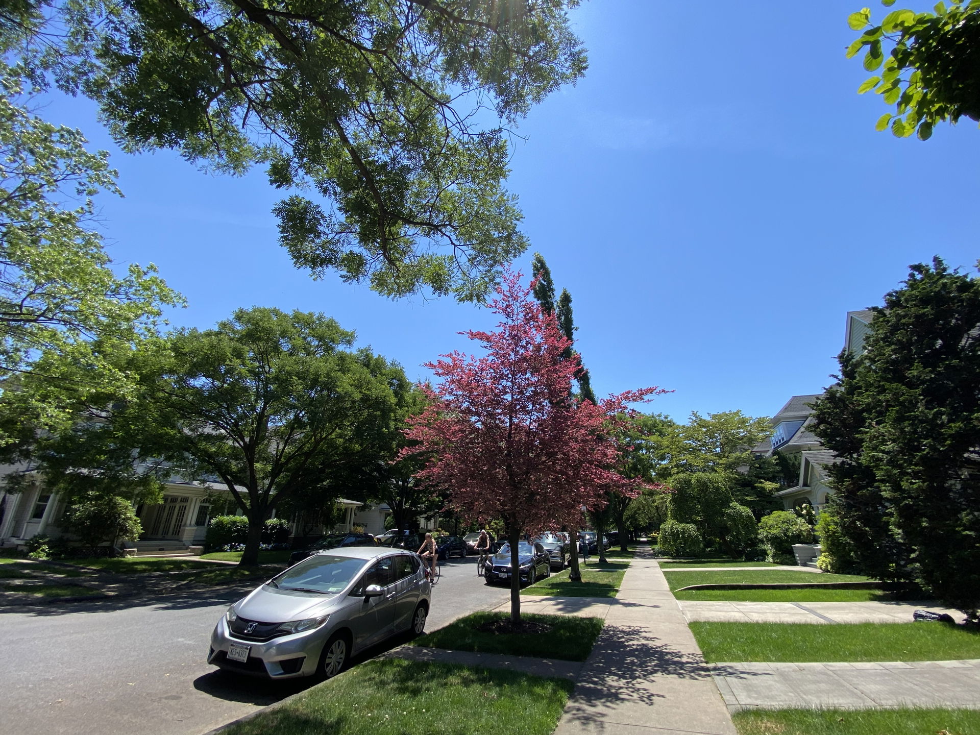 Ditmas Park view 1