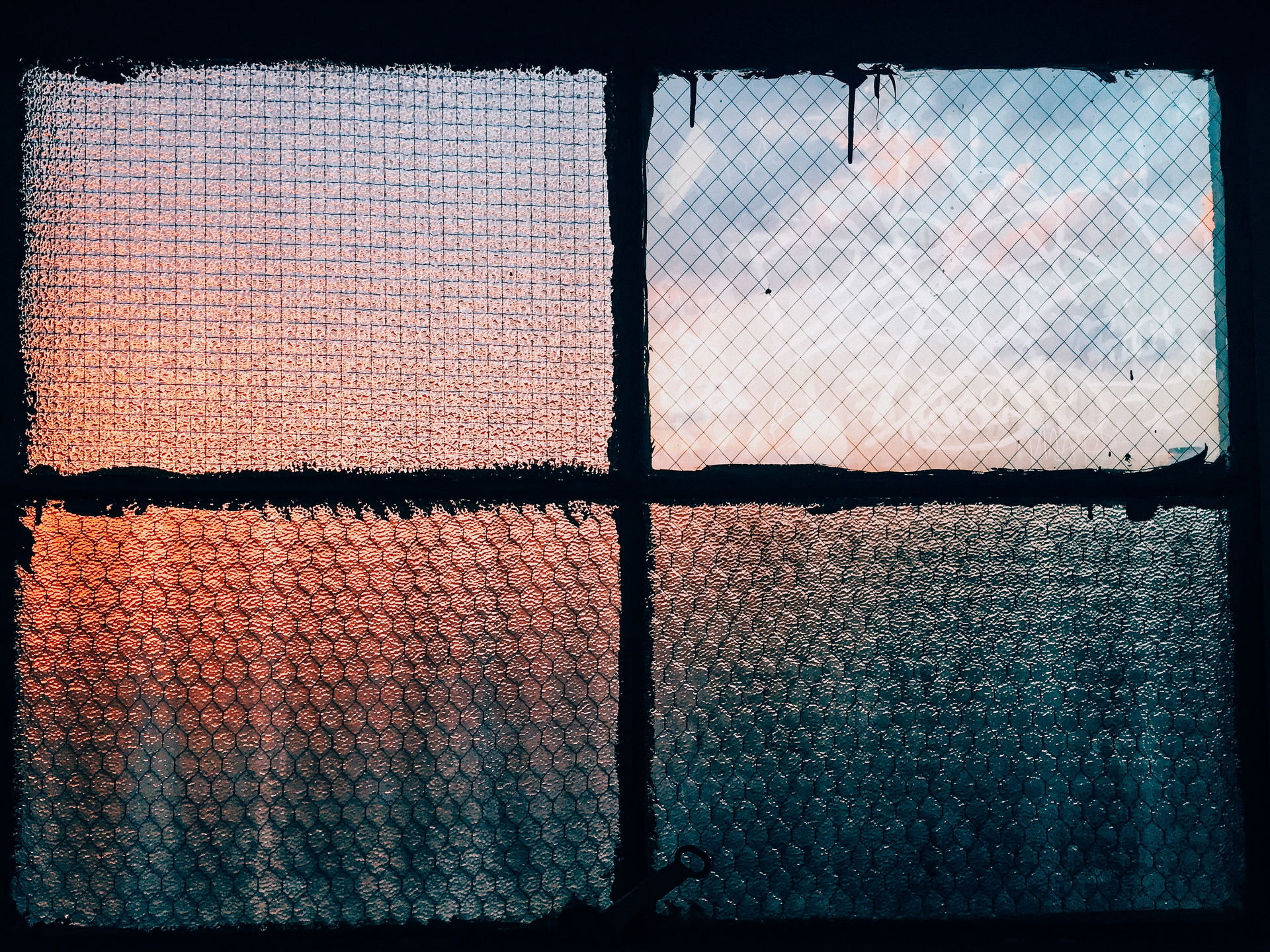 Ditmas Park view 5