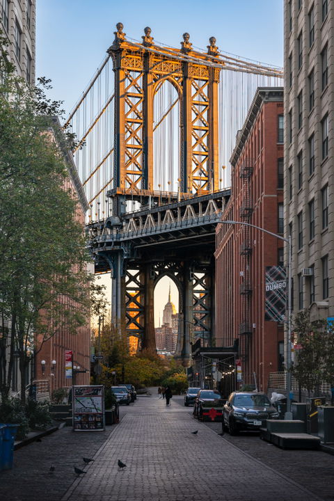 DUMBO view 3