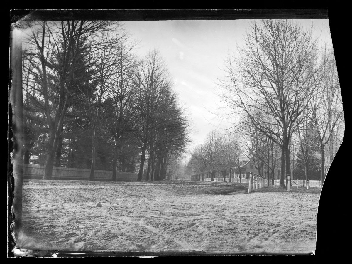Flatbush view 3