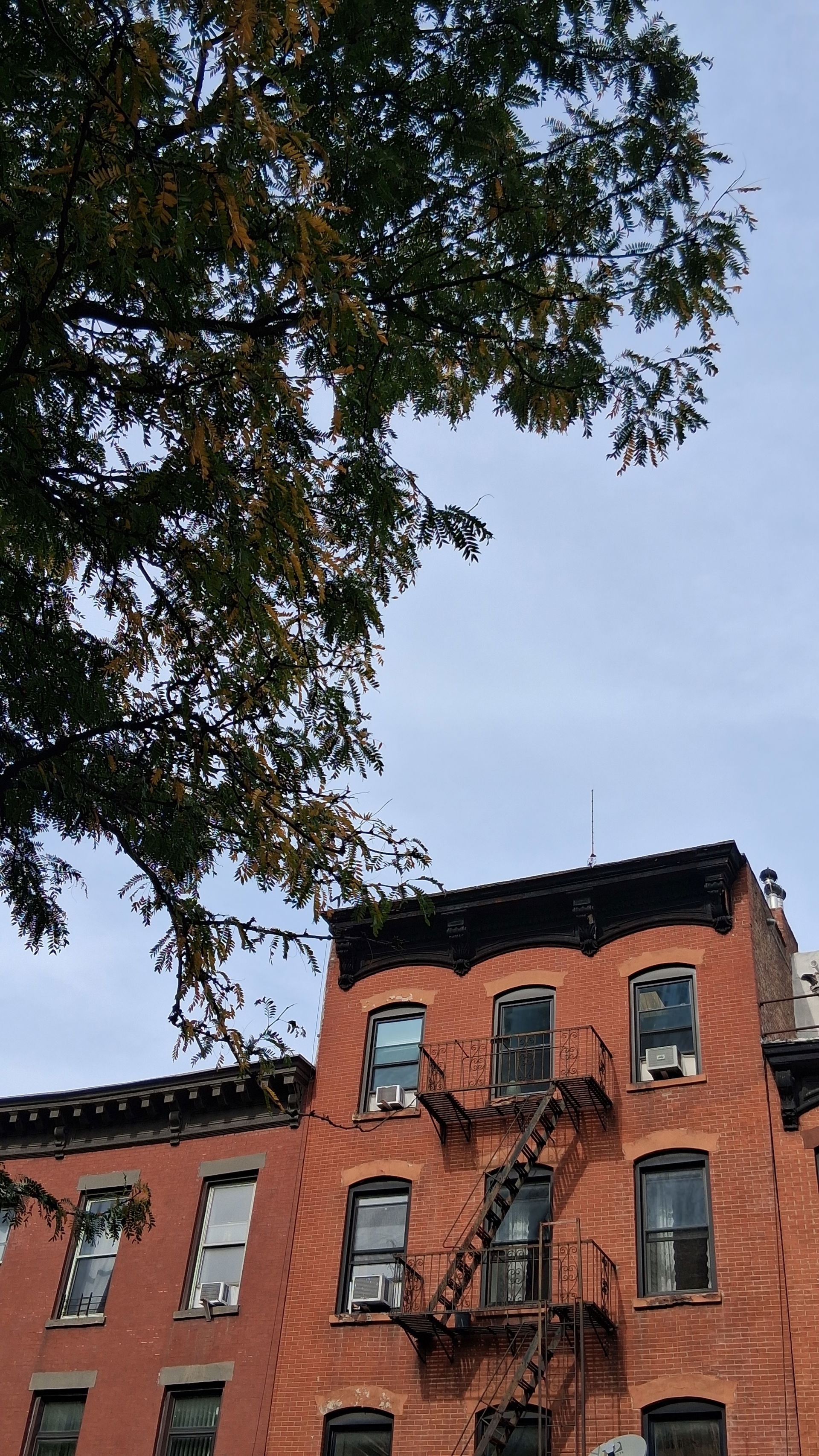 Fort Greene view 4