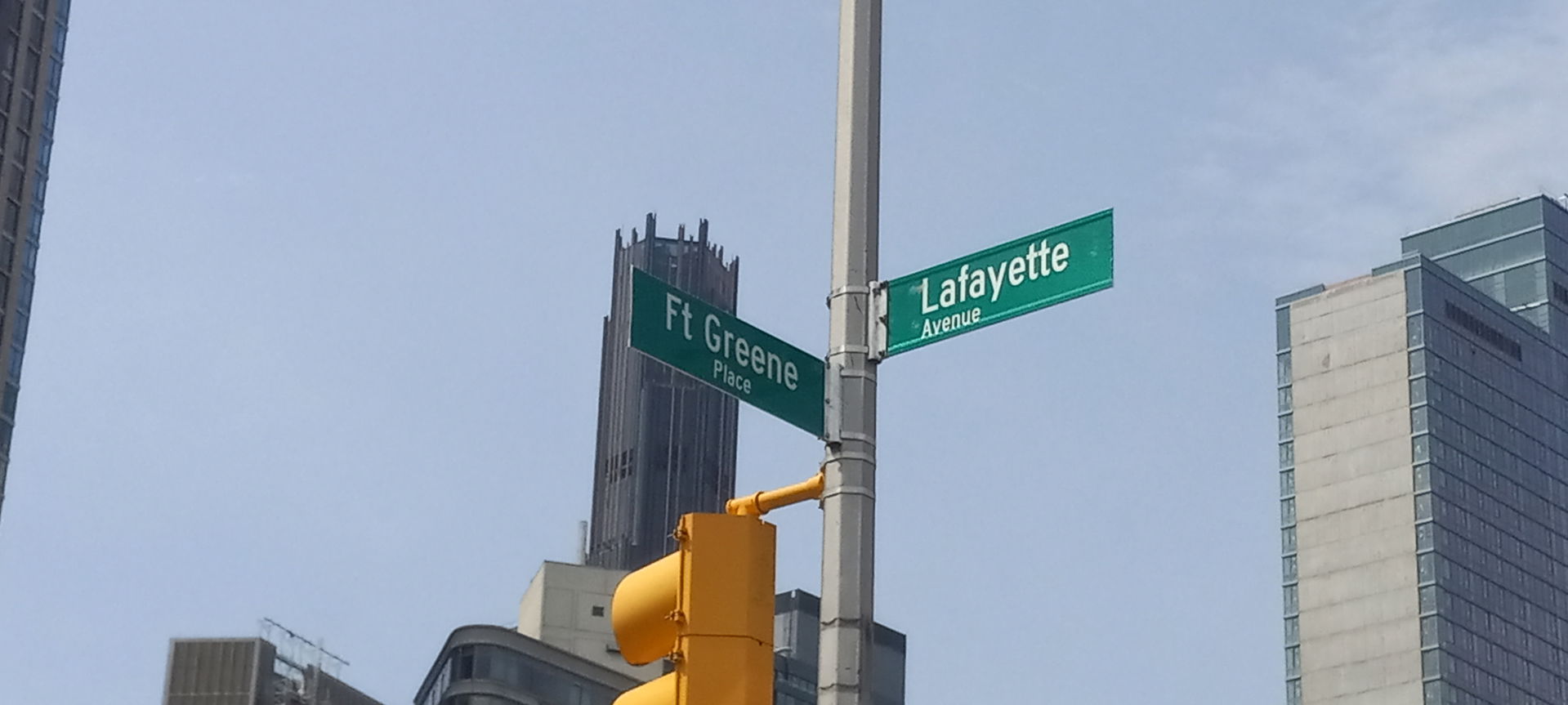 Fort Greene view 1