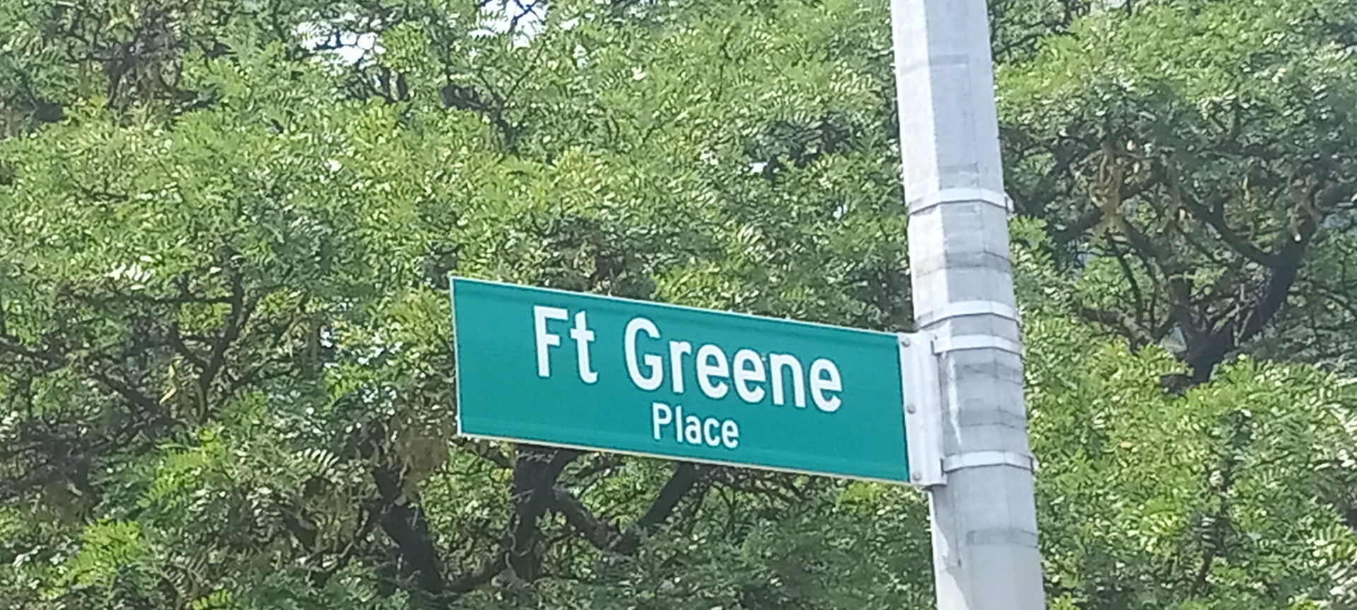 Fort Greene view 5