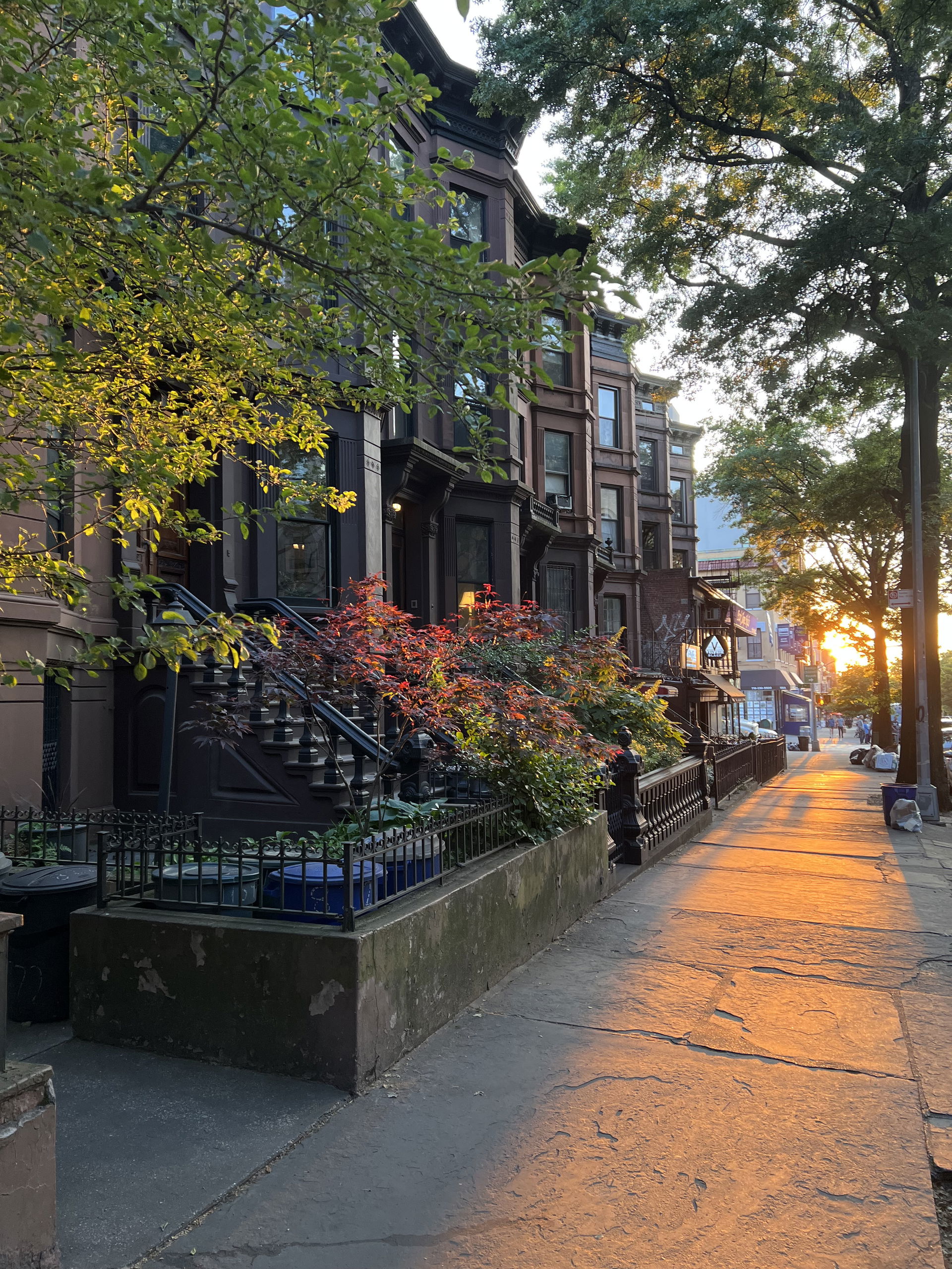 Park Slope view 4