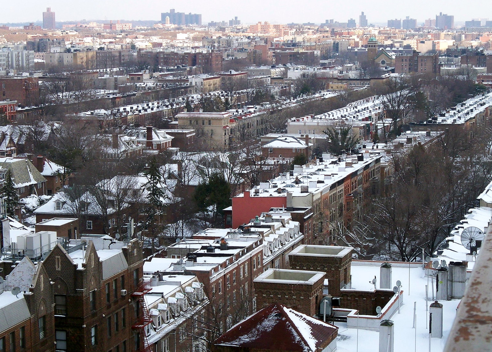 Prospect Lefferts Gardens district