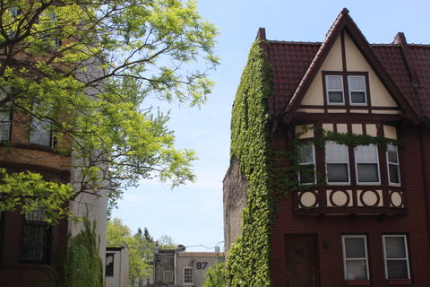 Prospect Lefferts Gardens view 2