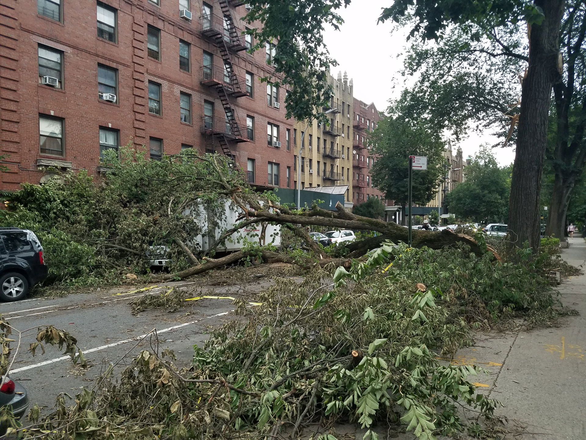 Prospect Lefferts Gardens view 4