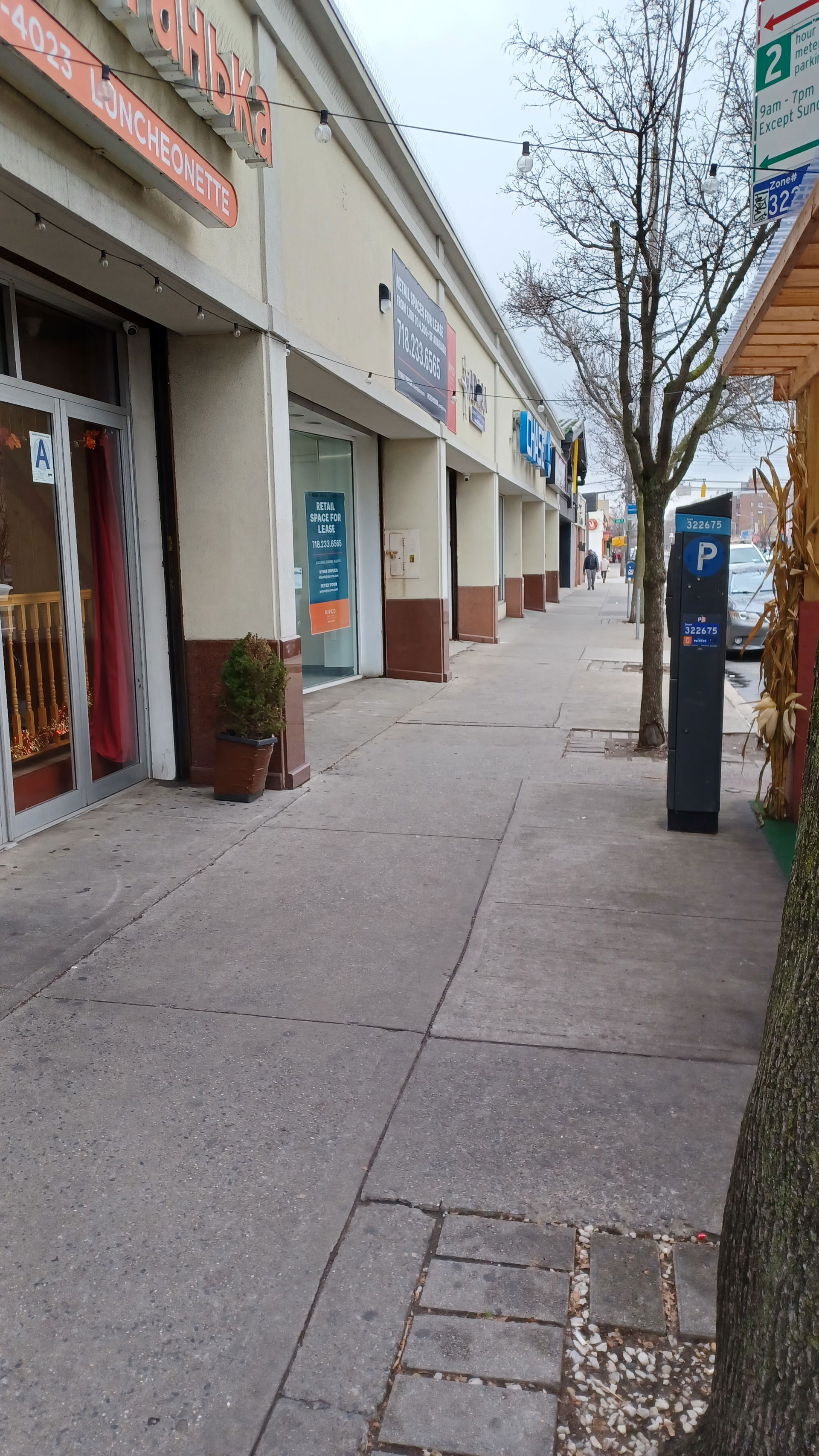 Sheepshead Bay view 5
