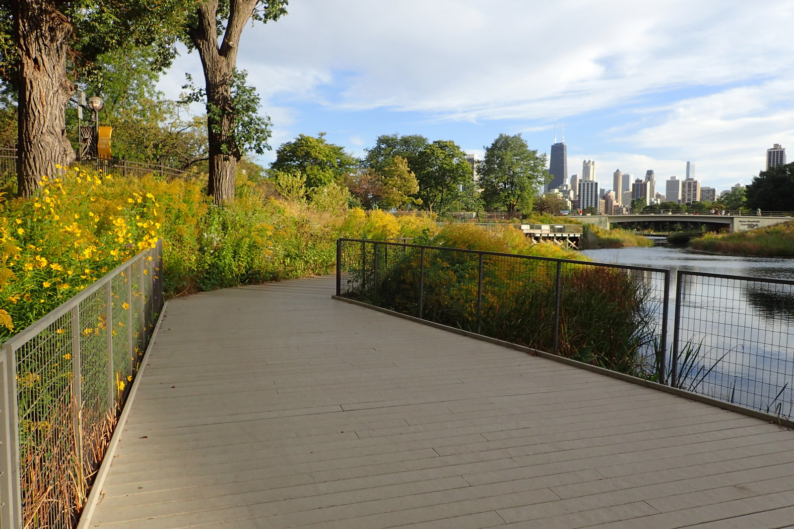 Lincoln Park district