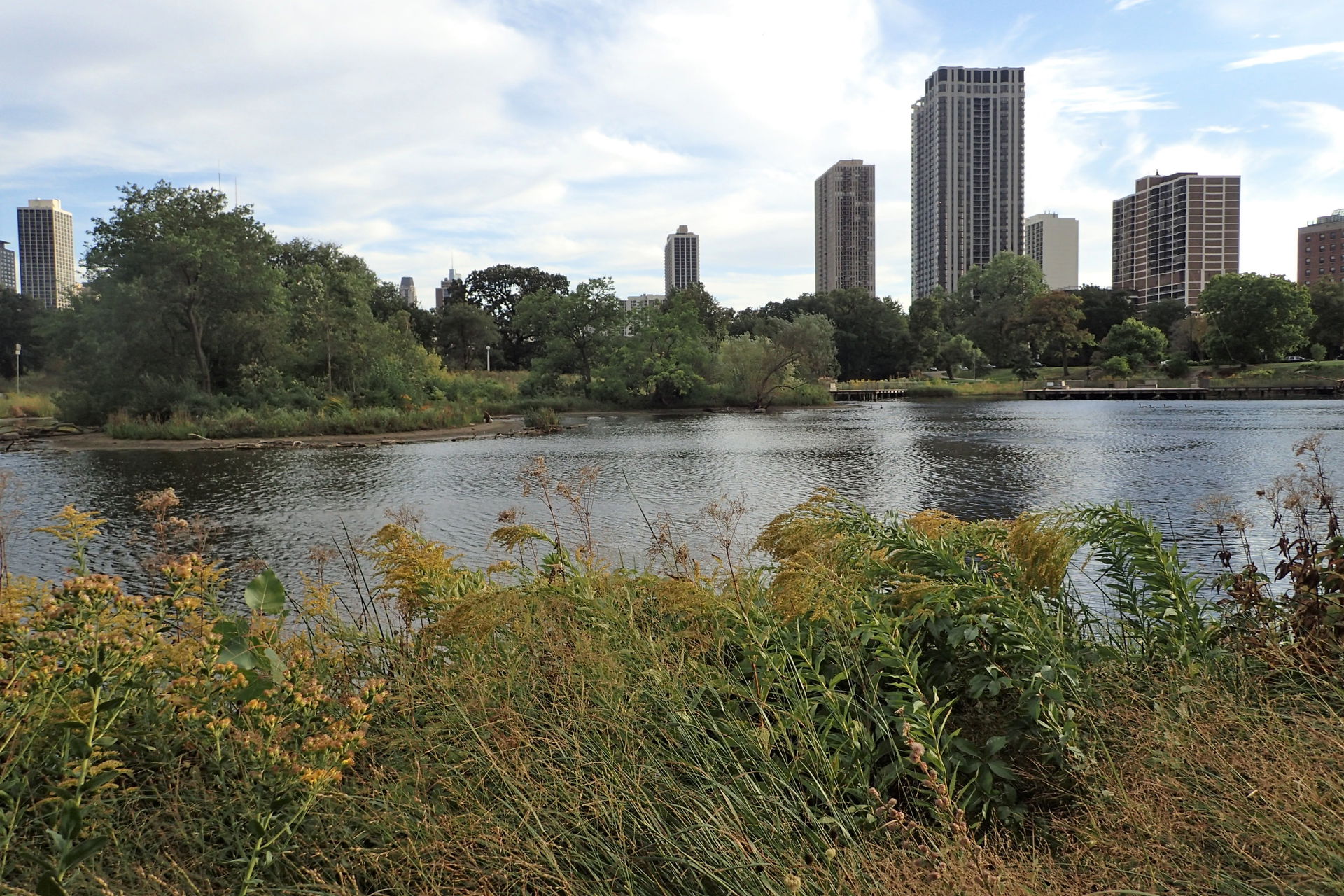 Lincoln Park view 4