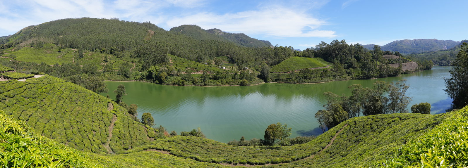 Lake View district