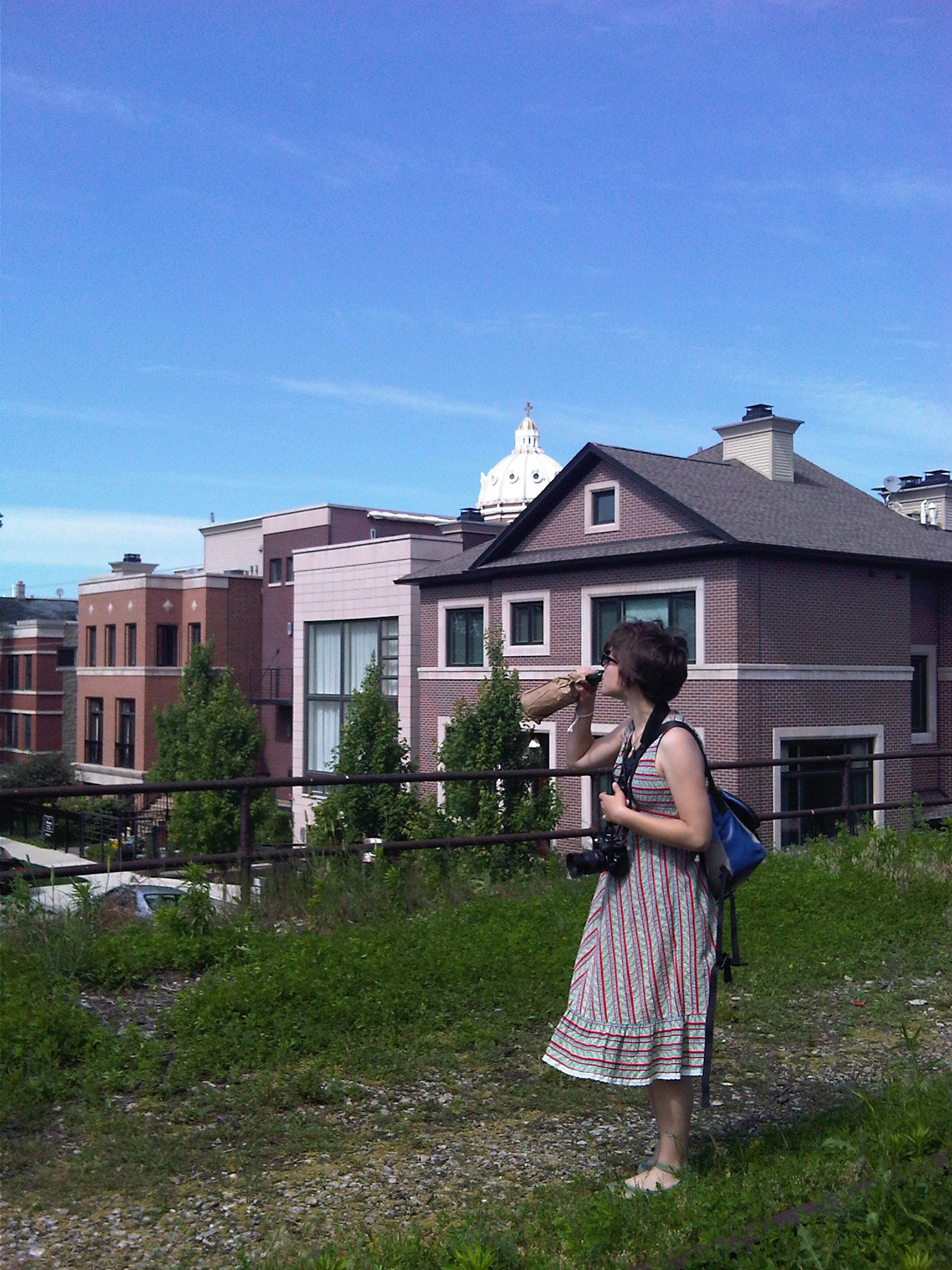 Bucktown view 1