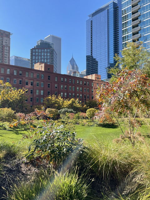 Streeterville view 1