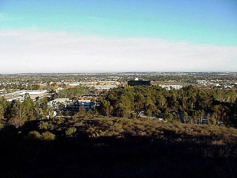 Mira Mesa view 3