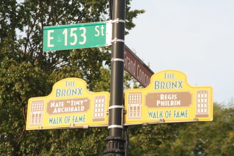 Bronx view 3