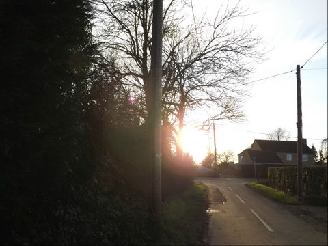 Fordham view 3