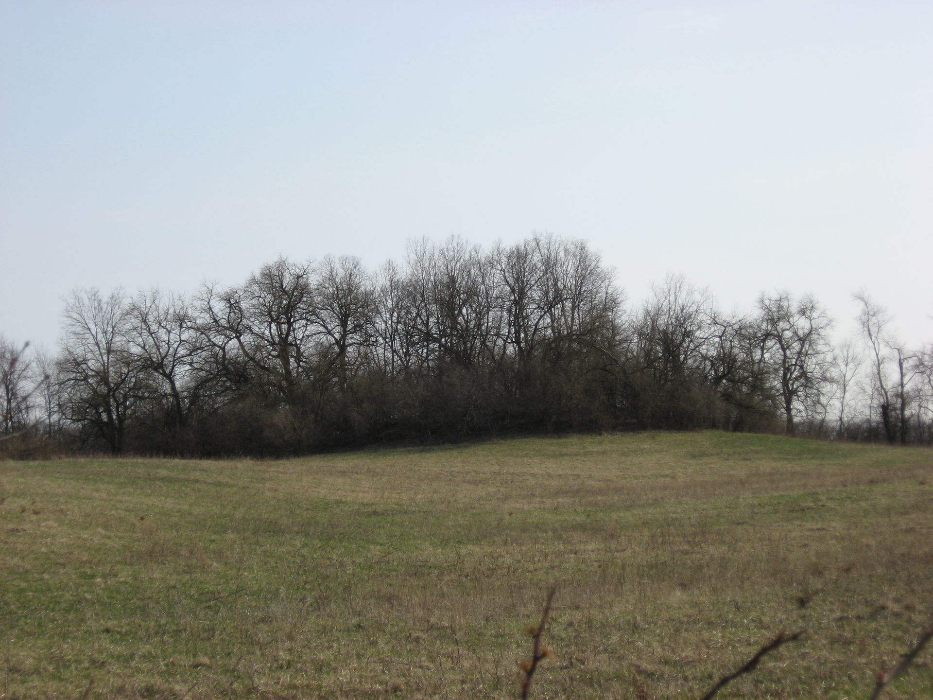 Wayne Township view 4