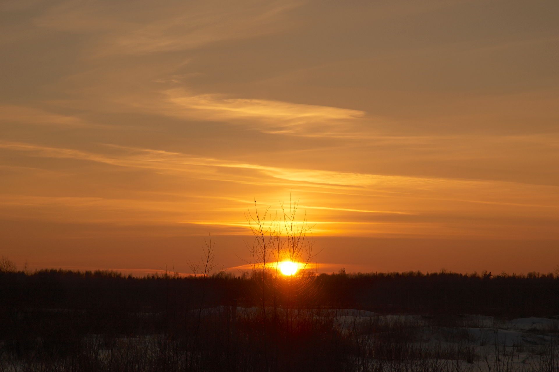 Sunset District view 5