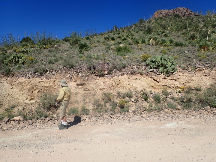 Northwest El Paso district